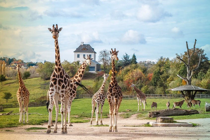 Prague Zoo, Prague, Czech Republic (Czechia)